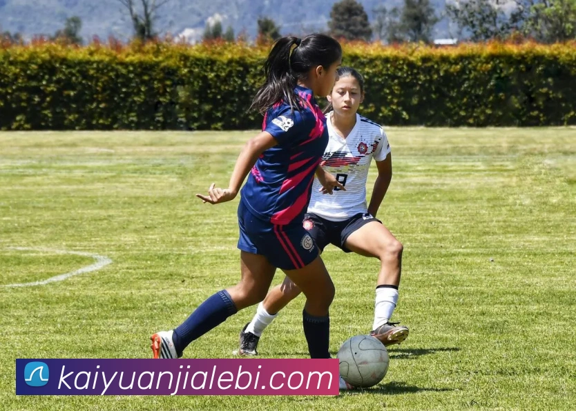 开元棋牌发展历程